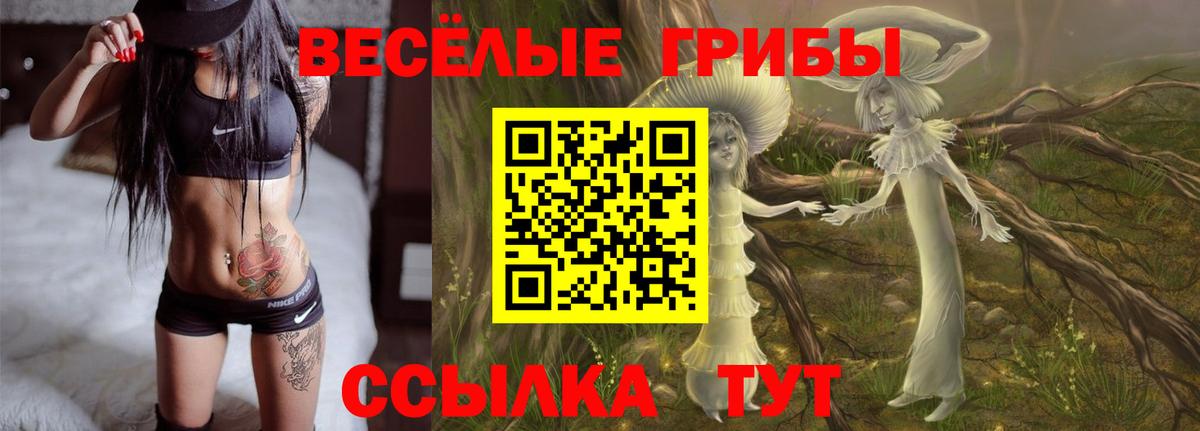 Галлюциногенные грибы Cubensis  Вход с VPN  Верхняя Пышма  Псилоцибиновые грибы Cubensis 